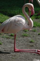 Vogelpark Walsrode