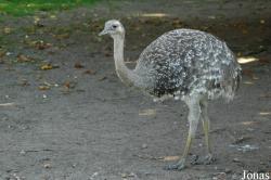 Vogelpark Walsrode