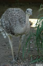 Vogelpark Walsrode