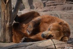 Indianapolis Zoo