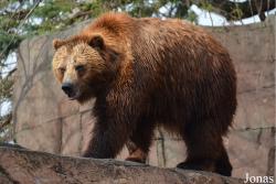 Indianapolis Zoo