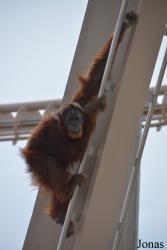 Indianapolis Zoo