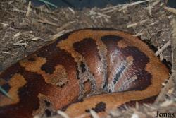 Indianapolis Zoo