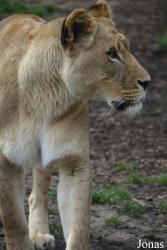 Indianapolis Zoo