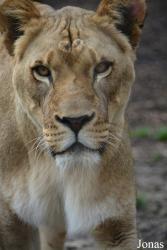 Indianapolis Zoo