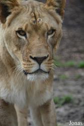 Indianapolis Zoo