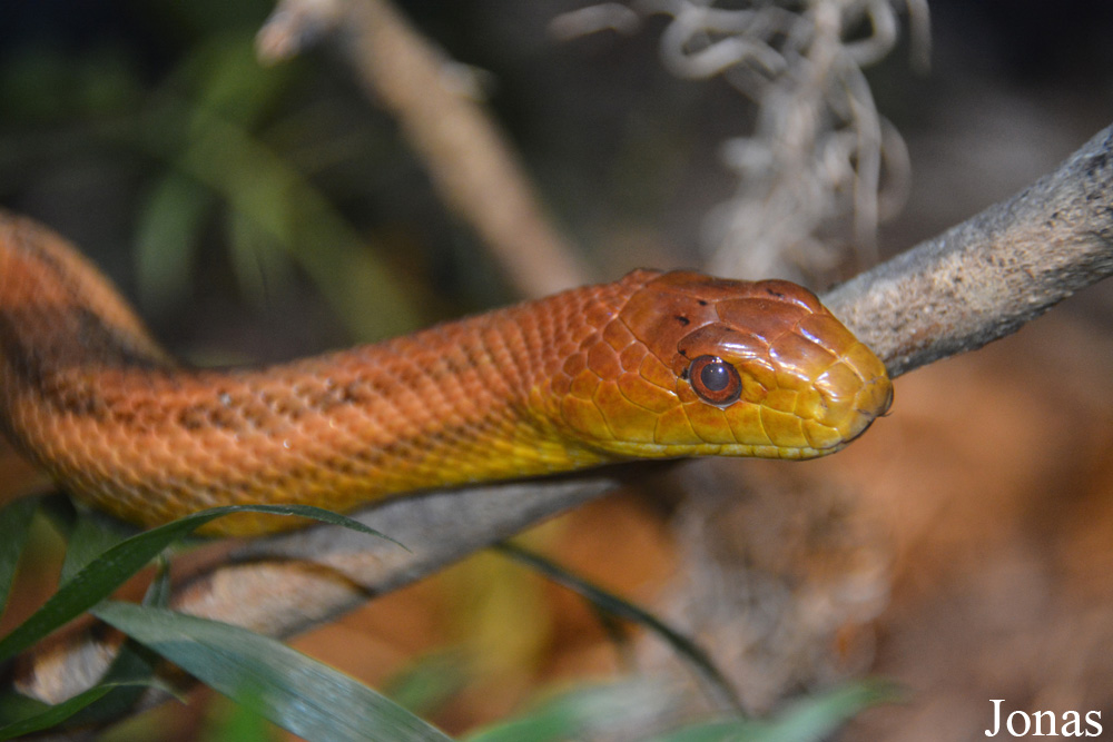 Indianapolis Zoo