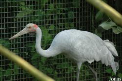 Vogelpark Walsrode
