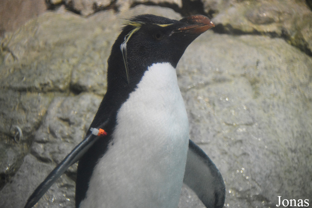 Indianapolis Zoo
