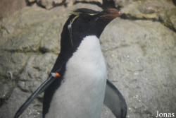 Indianapolis Zoo