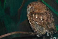 Louisville Zoo