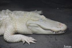 Louisville Zoo