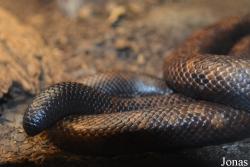 Louisville Zoo