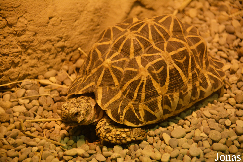 Louisville Zoo