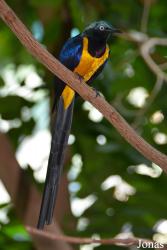Louisville Zoo