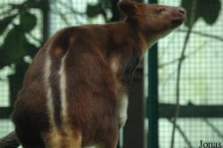 Vogelpark Walsrode