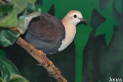 Louisville Zoo
