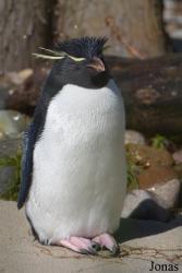 Louisville Zoo