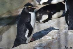 Louisville Zoo