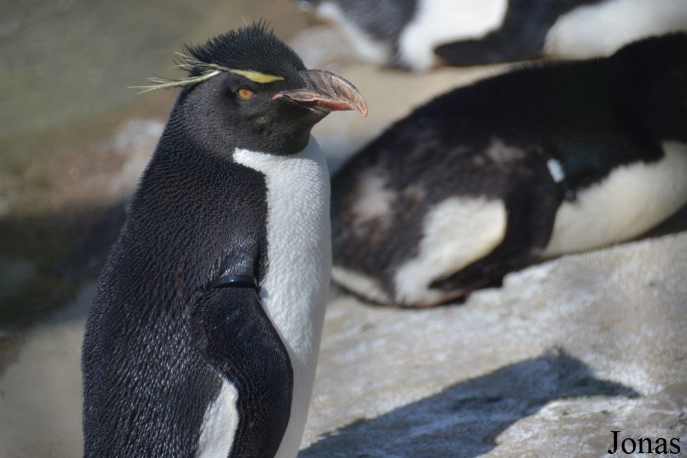 Louisville Zoo