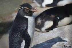Louisville Zoo