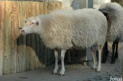 Vogelpark Walsrode