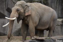 Columbus Zoo and Aquarium