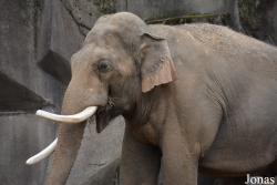 Columbus Zoo and Aquarium