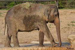 Columbus Zoo and Aquarium