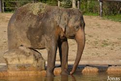 Columbus Zoo and Aquarium