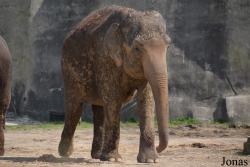 Columbus Zoo and Aquarium