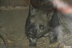 Columbus Zoo and Aquarium