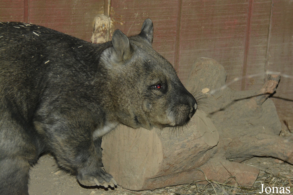 Columbus Zoo and Aquarium