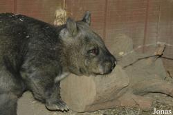 Columbus Zoo and Aquarium