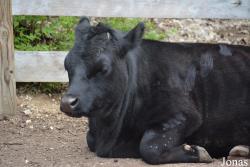Columbus Zoo and Aquarium
