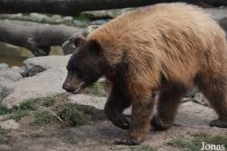 Columbus Zoo and Aquarium
