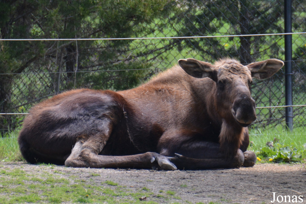 Columbus Zoo and Aquarium