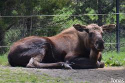 Columbus Zoo and Aquarium