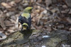 Columbus Zoo and Aquarium