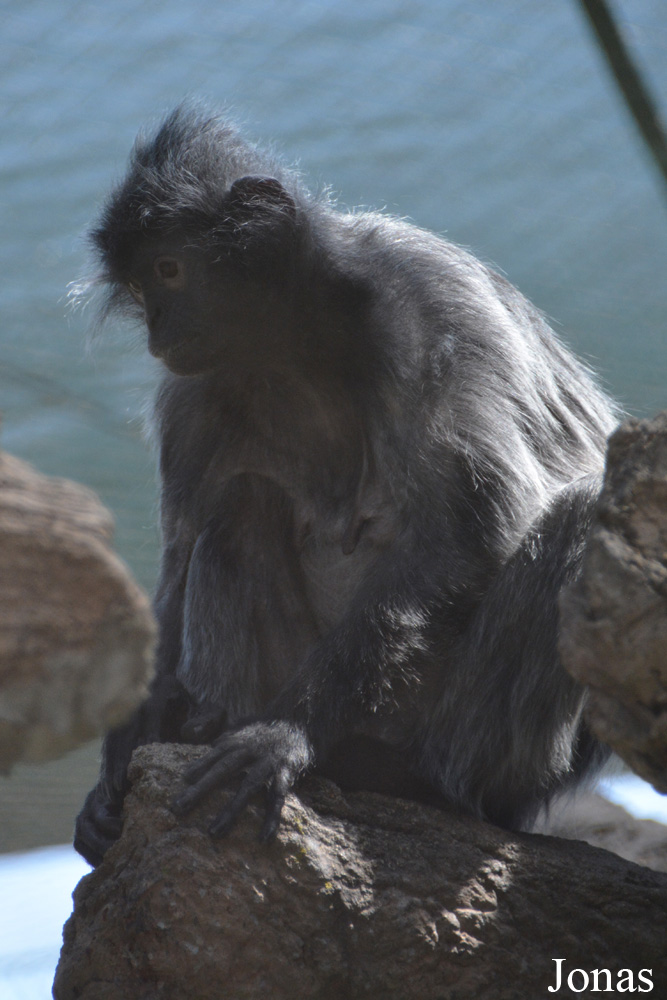 Columbus Zoo and Aquarium