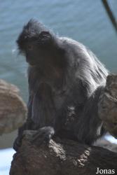Columbus Zoo and Aquarium