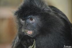 Columbus Zoo and Aquarium