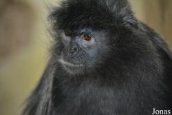 Columbus Zoo and Aquarium