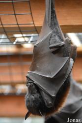 Columbus Zoo and Aquarium