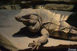 Columbus Zoo and Aquarium