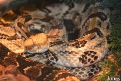 Columbus Zoo and Aquarium