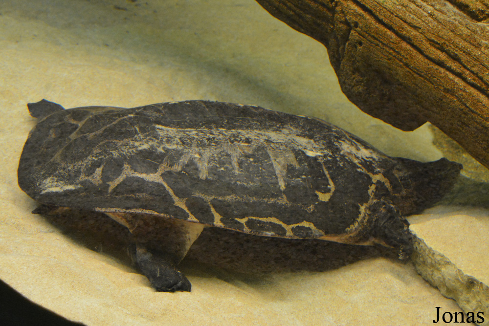 Columbus Zoo and Aquarium
