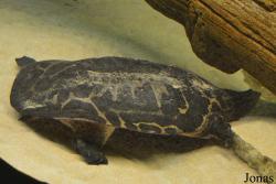 Columbus Zoo and Aquarium