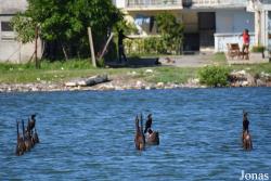 Cienfuegos