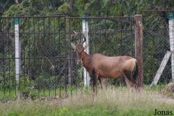 Parque Zoológico Nacional de Cuba